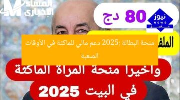 منحة البطالة 2025: دعم مالي للماكثة في الأوقات الصعبة