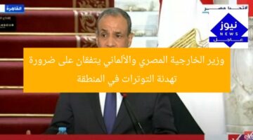 وزير الخارجية المصري والألماني يتفقان على ضرورة تهدئة التوترات في المنطقة