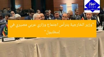 “وزير الخارجية يترأس اجتماع وزاري عربي مصيري في إسطنبول”