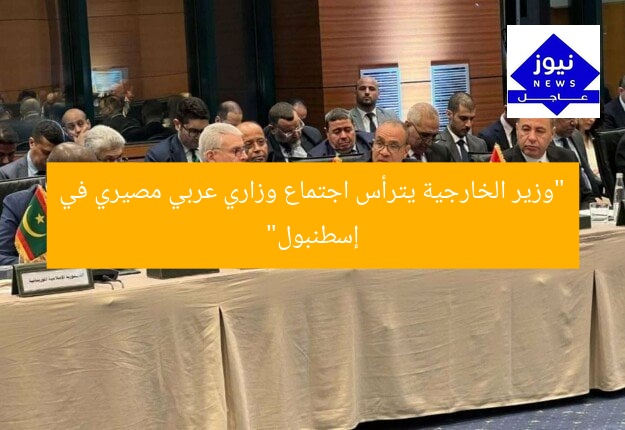“وزير الخارجية يترأس اجتماع وزاري عربي مصيري في إسطنبول”