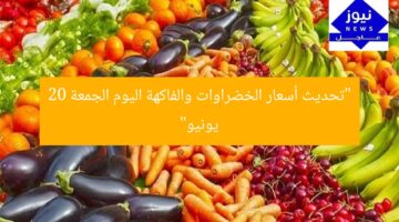 “تحديث أسعار الخضراوات والفاكهة اليوم الجمعة 20 يونيو”