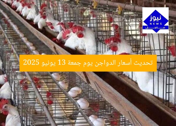 تحديث أسعار الدواجن يوم جمعة 13 يونيو 2025