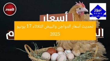 تحديث أسعار الدواجن والبيض الثلاثاء 17 يونيو 2025