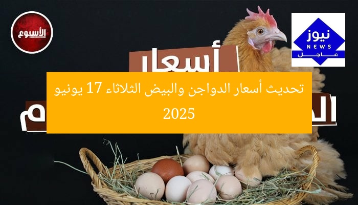 تحديث أسعار الدواجن والبيض الثلاثاء 17 يونيو 2025