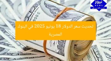 تحديث سعر الدولار 18 يونيو 2025 في البنوك المصرية
