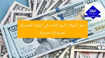 سعر الدولار اليوم الأحد في البنوك المصرية: تحديثات حصرية