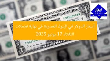 تحديث سعر الدولار في البنوك المصرية الثلاثاء 17 يونيو 2025