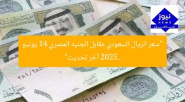 “سعر الريال السعودي مقابل الجنيه المصري 14 يونيو 2025.. آخر تحديث”