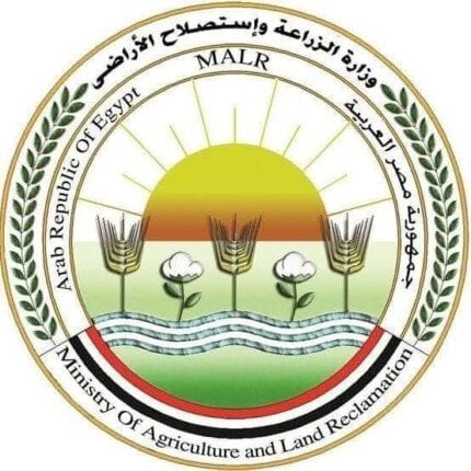 «الزراعة»: ذبح أكثر من 28 ألف أضحية بالمجان للمواطنين خلال أيام العيد