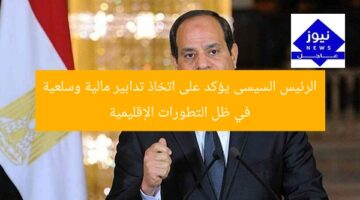 الرئيس السيسى يؤكد على اتخاذ تدابير مالية وسلعية في ظل التطورات الإقليمية