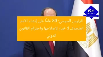 الرئيس السيسي: 80 عامًا على إنشاء الأمم المتحدة.. لا خيار لإصلاحها واحترام القانون الدولي