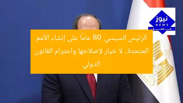 الرئيس السيسي: 80 عامًا على إنشاء الأمم المتحدة.. لا خيار لإصلاحها واحترام القانون الدولي