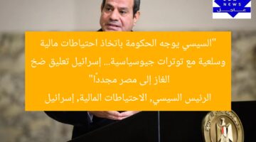 “السيسي يوجه الحكومة بالاحتياطات المالية والسلعية مع توترات جيوسياسية: إسرائيل تعلق ضخ الغاز لمصر”  
الرئيس السيسي, الاحتياطات المالية, إسرائيل