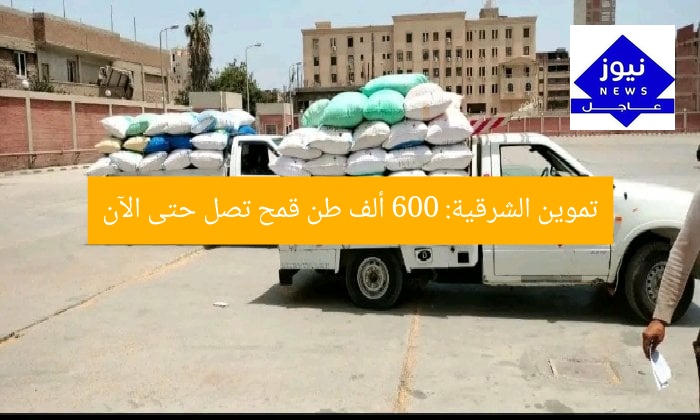 تموين الشرقية: 600 ألف طن قمح تصل حتى الآن
