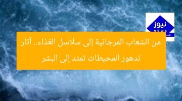 من الشعاب المرجانية إلى سلاسل الغذاء.. آثار تدهور المحيطات تمتد إلى البشر
