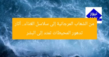 من الشعاب المرجانية إلى سلاسل الغذاء.. آثار تدهور المحيطات تمتد إلى البشر