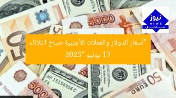 “أسعار الدولار والعملات الأجنبية صباح الثلاثاء 17 يونيو 2025”