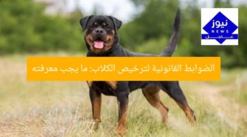 الضوابط القانونية لترخيص الكلاب: ما يجب معرفته