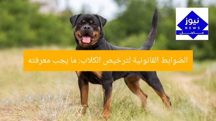 الضوابط القانونية لترخيص الكلاب: ما يجب معرفته