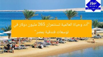 “أدد وحياة العالمية تستثمران 265 مليون دولار في توسعات فندقية بمصر”