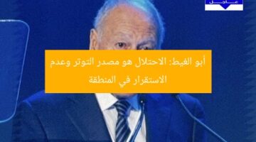 أبو الغيط: الاحتلال هو مصدر التوتر وعدم الاستقرار في المنطقة