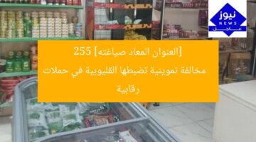 [العنوان المعاد صياغته]  
255 مخالفة تموينية تضبطها القليوبية في حملات رقابية