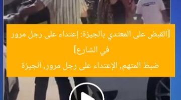 [القبض على المعتدي بالجيزة: إعتداء على رجل مرور في الشارع]  
ضبط المتهم, الإعتداء على رجل مرور, الجيزة