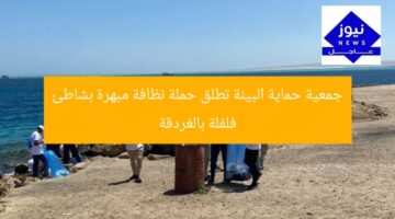 جمعية حماية البيئة تطلق حملة نظافة مبهرة بشاطئ فلفلة بالغردقة