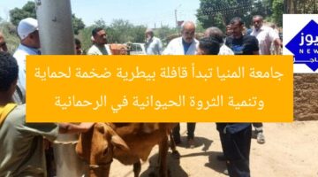 جامعة المنيا تبدأ قافلة بيطرية ضخمة لحماية وتنمية الثروة الحيوانية في الرحمانية