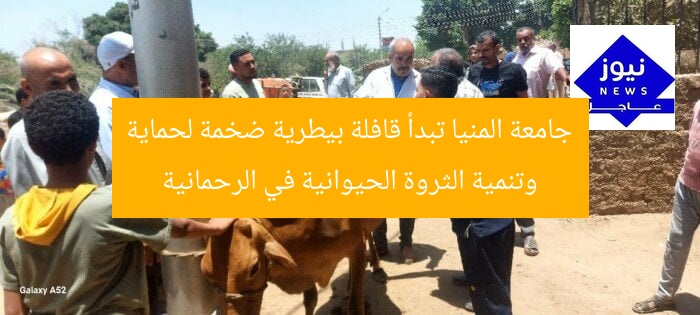 جامعة المنيا تبدأ قافلة بيطرية ضخمة لحماية وتنمية الثروة الحيوانية في الرحمانية