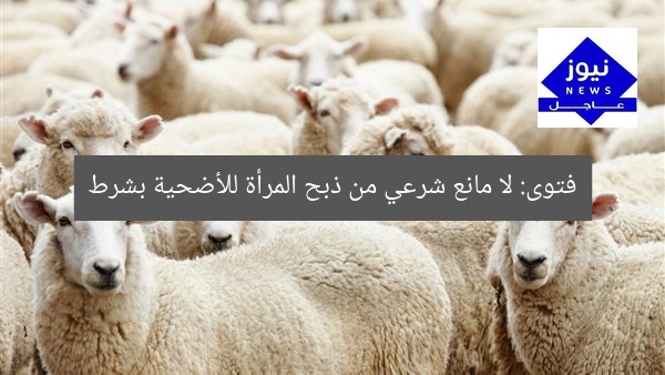 فتوى: لا مانع شرعي من ذبح المرأة للأضحية بشرط