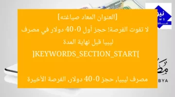 [العنوان المعاد صياغته]  
لا تفوت الفرصة! حجز أول 4000 دولار في مصرف ليبيا قبل نهاية المدة  

[KEYWORDS_SECTION_START]  
مصرف ليبيا, حجز 4000 دولار, الفرصة الأخيرة