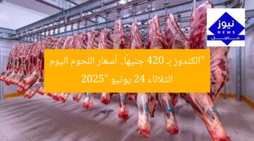 “الكندوز بـ 420 جنيهًا.. أسعار اللحوم اليوم الثلاثاء 24 يونيو 2025”