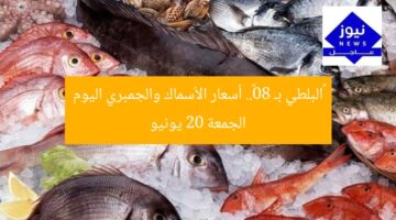 «البلطي بـ 80».. أسعار الأسماك والجمبري اليوم الجمعة 20 يونيو