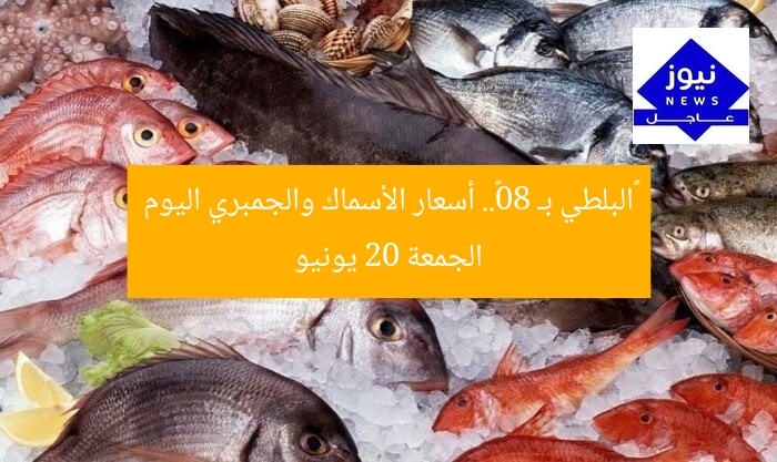 «البلطي بـ 80».. أسعار الأسماك والجمبري اليوم الجمعة 20 يونيو