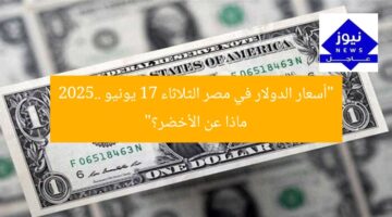 “أسعار الدولار في مصر الثلاثاء 17 يونيو 2025.. ماذا عن الأخضر؟”
