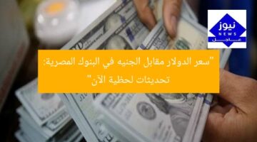 “سعر الدولار مقابل الجنيه في البنوك المصرية: تحديثات لحظية الآن”