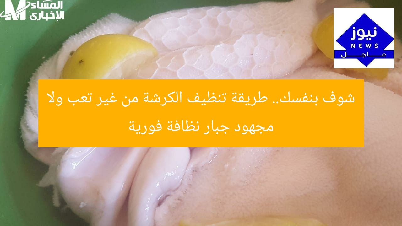 شوف بنفسك.. طريقة تنظيف الكرشة من غير تعب ولا مجهود جبار نظافة فورية
