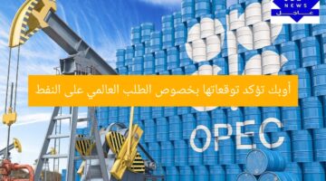 [العنوان المعاد صياغته]
أوبك تحافظ على توقعات الطلب العالمي على النفط

[KEYWORDS_SECTION_START]
أوبك، توقعات الطلب العالمي، النفط