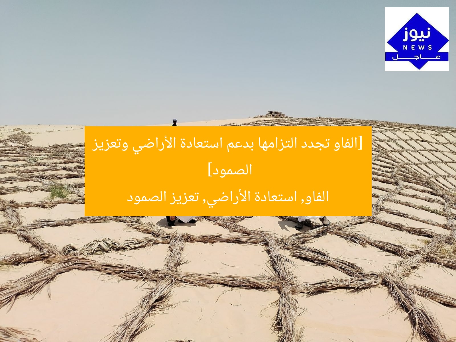 [الفاو تجدد التزامها بدعم استعادة الأراضي وتعزيز الصمود]  
الفاو, استعادة الأراضي, تعزيز الصمود