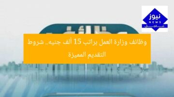 وظائف وزارة العمل براتب 15 ألف جنيه.. شروط التقديم المميزة