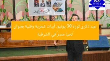 عيد ذكرى ثورة 30 يونيو: أبيات شعرية وفنية بعنوان «تحيا مصر» في الشرقية