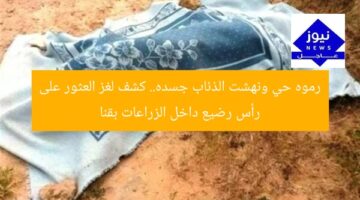 رموه حي ونهشت الذئاب جسده.. كشف لغز العثور على رأس رضيع داخل الزراعات بقنا
