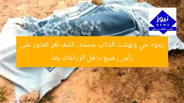 رموه حي ونهشت الذئاب جسده.. كشف لغز العثور على رأس رضيع داخل الزراعات بقنا