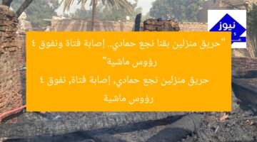 “حريق منزلين بقنا نجع حمادي.. إصابة فتاة ونفوق 4 رؤوس ماشية”  
حريق منزلين نجع حمادي, إصابة فتاة, نفوق 4 رؤوس ماشية