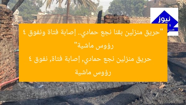 “حريق منزلين بقنا نجع حمادي.. إصابة فتاة ونفوق 4 رؤوس ماشية”
حريق منزلين نجع حمادي, إصابة فتاة, نفوق 4 رؤوس ماشية