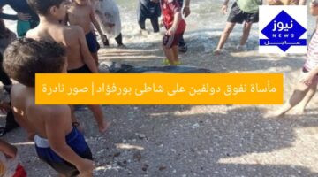 مأساة نفوق دولفين على شاطئ بورفؤاد|صور نادرة