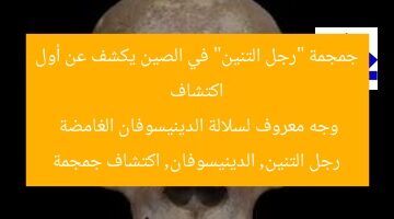 اكتشاف جمجمة “رجل التنين” في الصين يكشف عن أول وجه معروف لسلالة الدينيسوفان الغامضة  
رجل التنين, الدينيسوفان, اكتشاف جمجمة