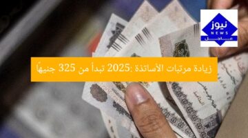 زيادة مرتبات الأساتذة 2025: تبدأ من 325 جنيهًا