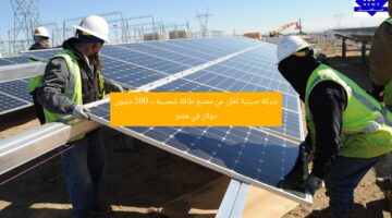 شركة صينية تُعلن عن مصنع طاقة شمسية بـ 200 مليون دولار في مصر